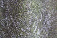 Ferguslie Park fibreglass roof work